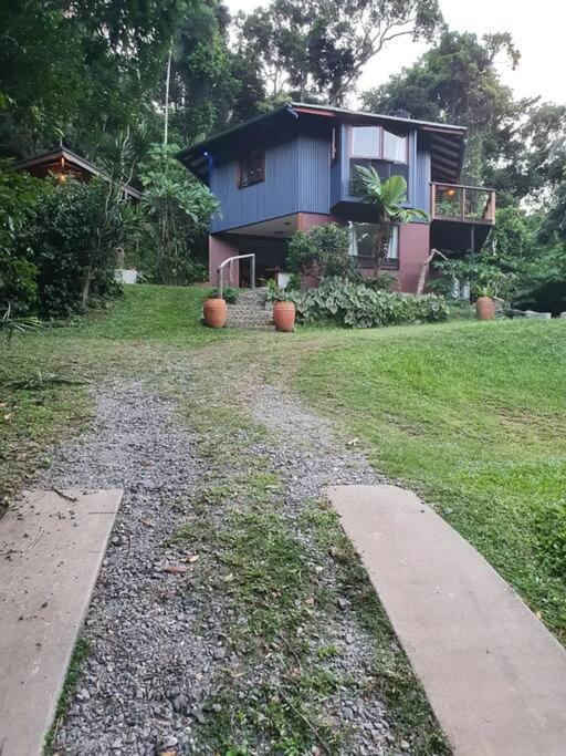 Treeverb Beach House - Daintree Cow Bay Bagian luar foto